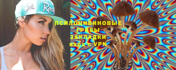 круглые Абаза