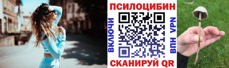 где можно купить   Псков  Галлюциногенные грибы Cubensis 