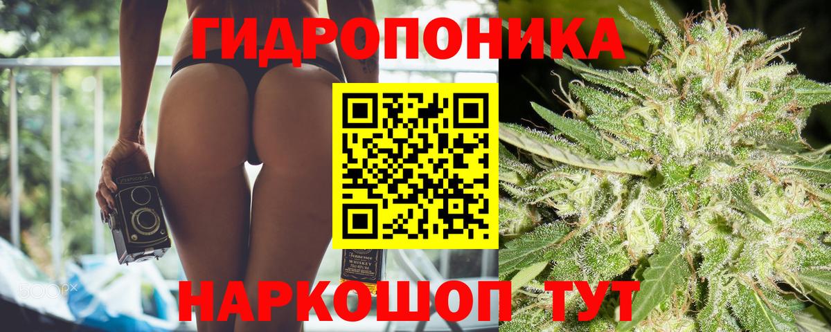 Псков  Канабис планчик  Конопля планчик  Бошки марихуана Ganja  Вход с VPN 